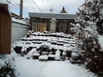 image/2011-01-17T09:15:04-1.jpg
