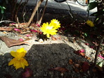 image/2011-02-25T23:02:04-1.jpg