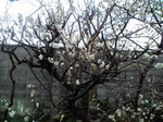 image/2011-02-27T14:47:59-1.jpg