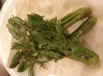 image/2013-05-07T23:29:03-1.JPG