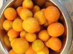 image/2013-06-26T23:27:22-1.JPG