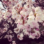 image/2014-04-07T20:23:18-3.JPG