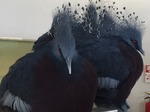 no-title
