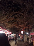 CA3F026200010001.jpg